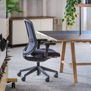 Ohne Kopfstütze / Schwarzes Netz/Era Onyx CSE14