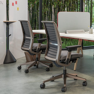 Ohne Kopfstütze / Era Trüffel CSE02