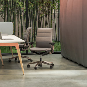 Ohne Kopfstütze / Era Trüffel CSE02