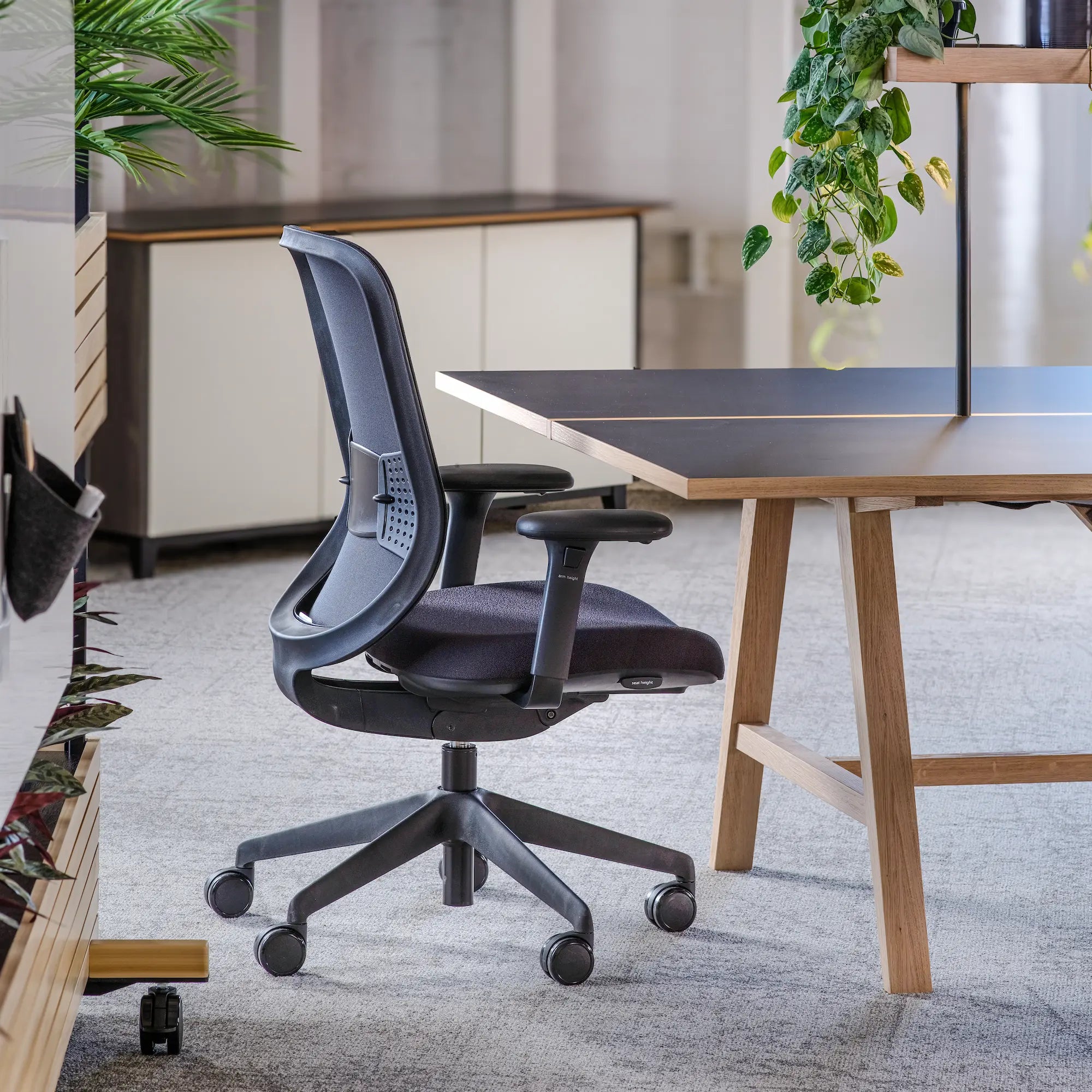 Ohne Kopfstütze / Schwarzes Netz/Era Onyx CSE14