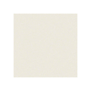 Melamin Snow WY/Farbe Pearl Snow ZW